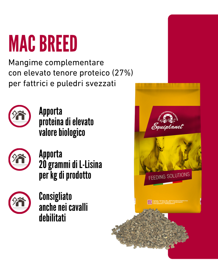 Mac Breed